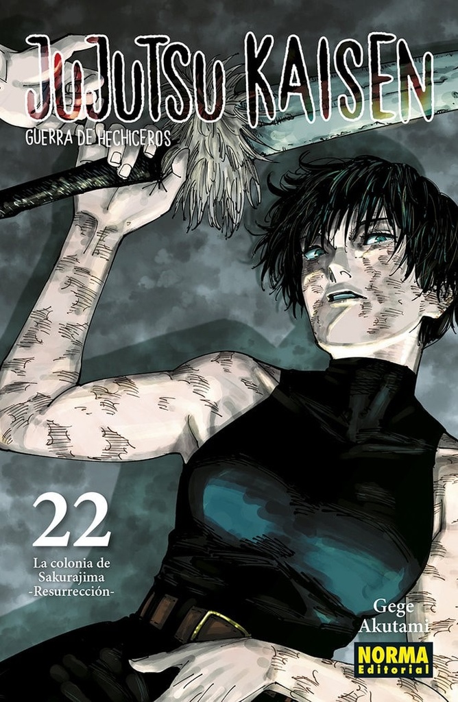 Jujutsu kaisen 22